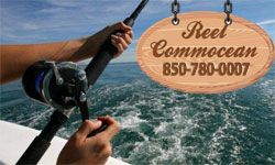 Reel Commocean Charter Fishing